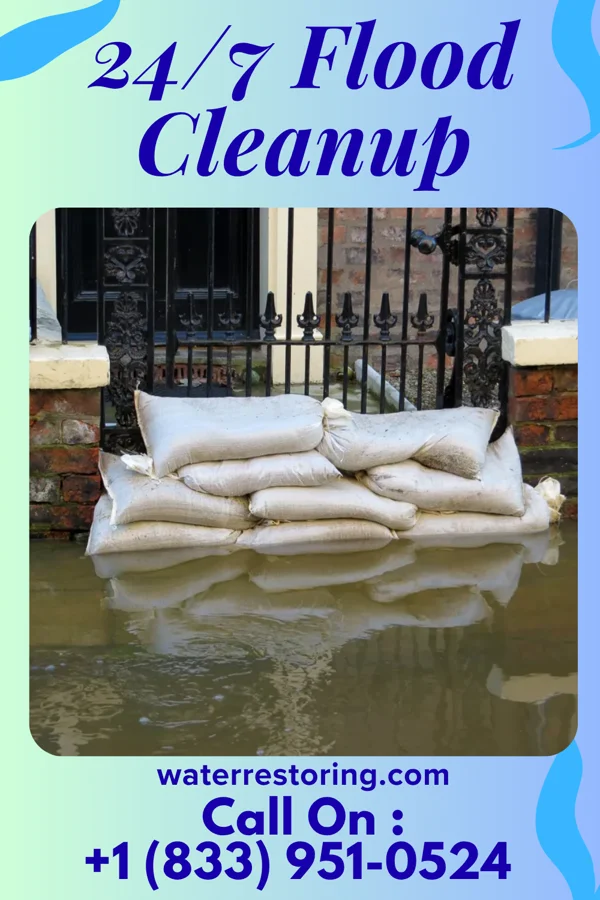 24/7 Flood Cleanup in Decatur, MS