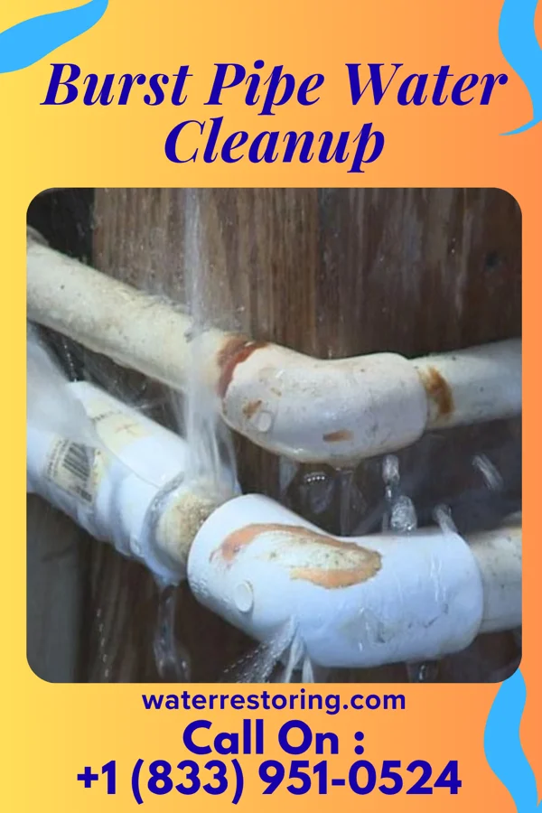 Burst Pipe Water Cleanup in Decatur, MS