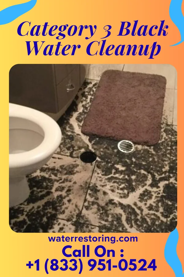 Category 3 Black Water Cleanup in Decatur, MS