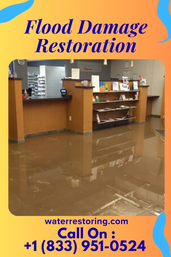 Flood Damage Restoration in Decatur, MS